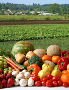 Umweltbelastungen von Früchten und Gemüse in der Schweiz