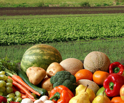 Umweltbelastungen von Früchten und Gemüse in der Schweiz