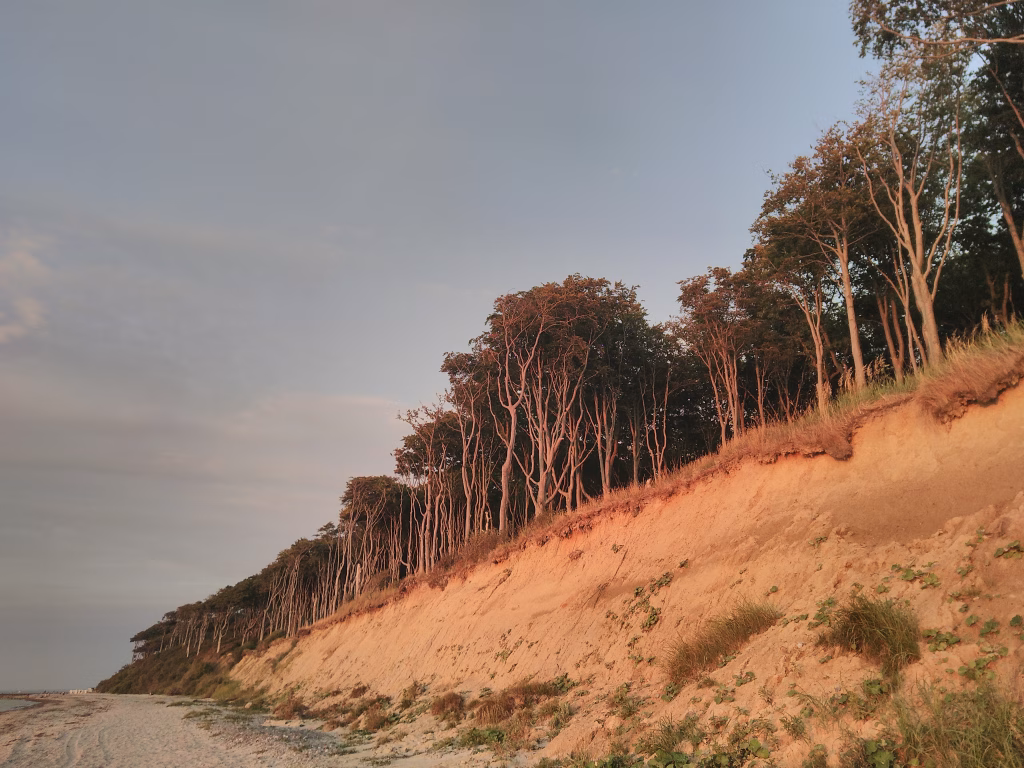 Wir haben den Durchblick im Gespensterwald mit Ökobilanzen