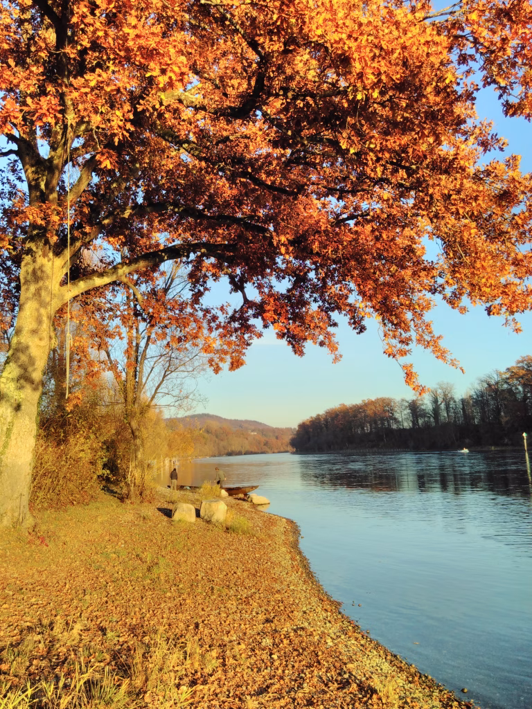 Schulungen in Schaffhausen
