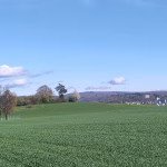 Windkraft Randen