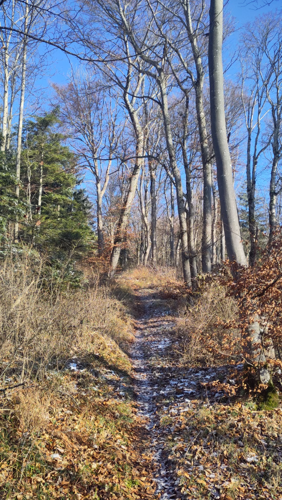 Pathway to high quality LCI data